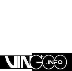 [文歌印像 VINGOO] logo